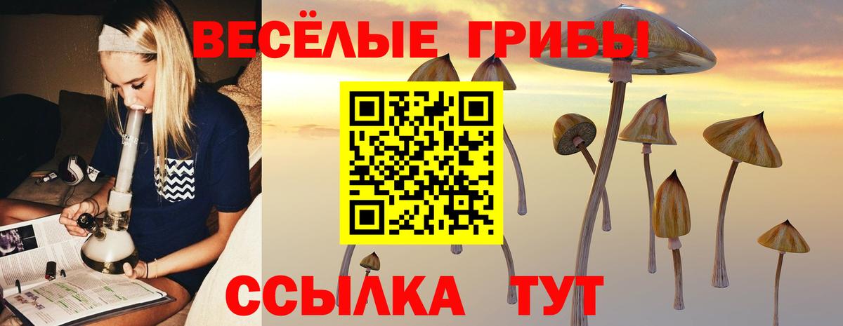 Галлюциногенные грибы MAGIC MUSHROOMS Карабулак