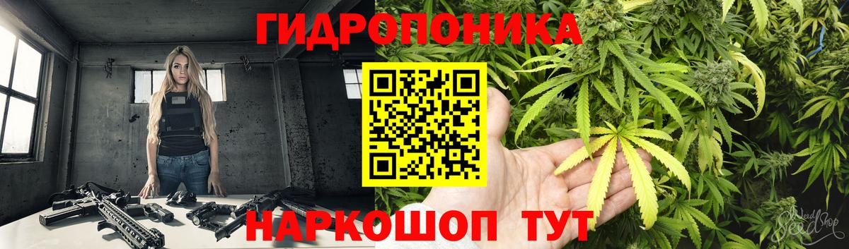 Марихуана Bruce Banner  Вход с VPN  Карабулак  Марихуана марихуана  Бошки Шишки THC 21% 